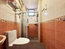 Blk 484 Segar Gardens (Bukit Panjang), HDB Executive #599080121